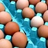 Как определить качество яйца